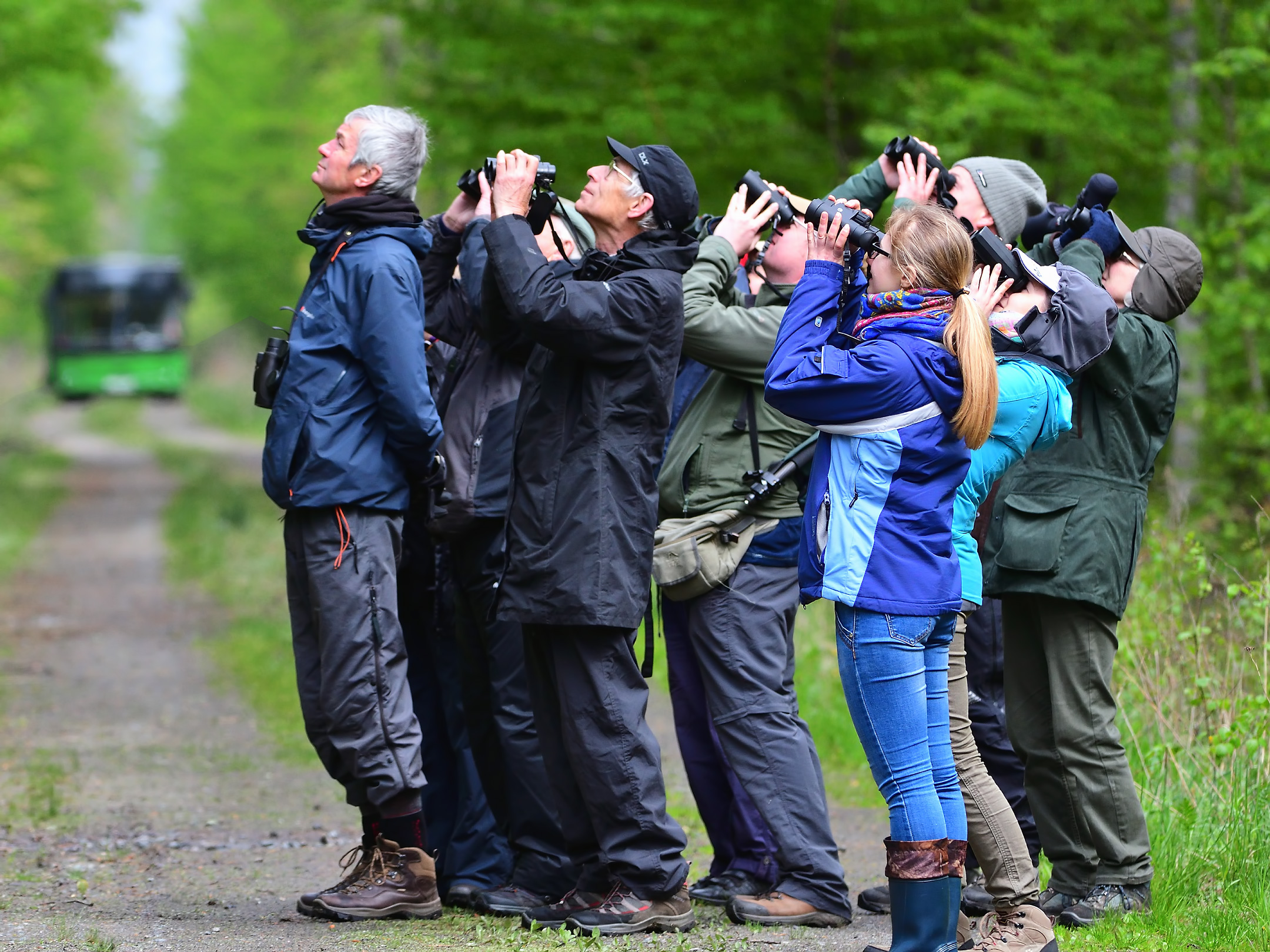Wildlife Traveller